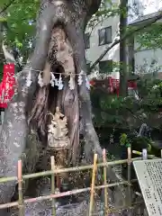 秩父今宮神社の庭園