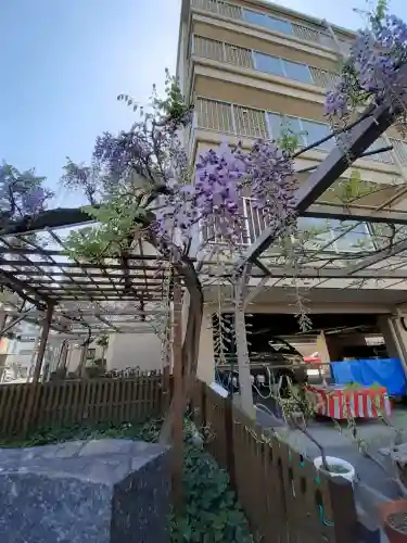 藤之宮　春日神社（野田の藤跡）の{uncategorized: "未分類", other: "その他", undefined: "問題あり", building: "その他建物", grave: "お墓", sacred_gate: "鳥居", guardian: "狛犬", statue: "像", buddha: "仏像", history: "歴史", nature: "自然", garden: "庭園", animal: "動物", pagoda: "塔", temizu: "手水舎", mountain_gate: "山門・神門", sanctuary: "本殿・本堂", subordinate: "末社・摂社", art: "芸術", scenery: "景色", jizo: "地蔵", ema: "絵馬", goshuin: "御朱印", omikuji: "おみくじ", items: "授与品その他", amulet: "お守り", goshuincho: "御朱印帳", eats: "食事", festival: "お祭り", votive_dance: "神楽", shichigosan: "七五三参", wedding: "結婚式", experience: "体験その他", initially: "初詣", around: "周辺", anti_infection: "感染症対策"}