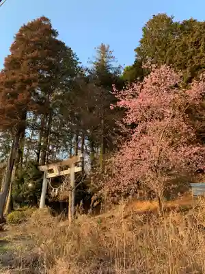 石上神社(千葉県)