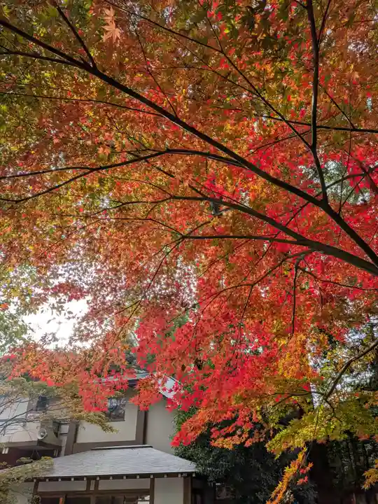 阿佐ヶ谷神明宮(東京都)