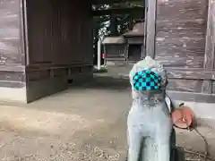 宇那禰神社の狛犬