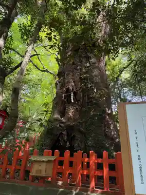 新田神社の{uncategorized: "未分類", other: "その他", undefined: "問題あり", building: "その他建物", grave: "お墓", sacred_gate: "鳥居", guardian: "狛犬", statue: "像", buddha: "仏像", history: "歴史", nature: "自然", garden: "庭園", animal: "動物", pagoda: "塔", temizu: "手水舎", mountain_gate: "山門・神門", sanctuary: "本殿・本堂", subordinate: "末社・摂社", art: "芸術", scenery: "景色", jizo: "地蔵", ema: "絵馬", goshuin: "御朱印", omikuji: "おみくじ", items: "授与品その他", amulet: "お守り", goshuincho: "御朱印帳", eats: "食事", festival: "お祭り", votive_dance: "神楽", shichigosan: "七五三参", wedding: "結婚式", experience: "体験その他", initially: "初詣", around: "周辺", anti_infection: "感染症対策"}