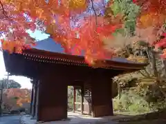 普門寺(切り絵御朱印発祥の寺)の山門