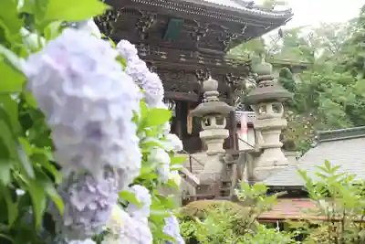 長谷寺のその他建物