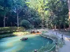 大麻比古神社(徳島県)