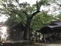 川中島古戦場八幡社の建物その他