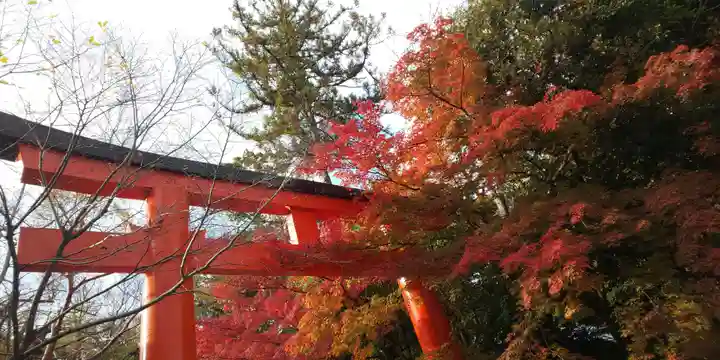 賀茂御祖神社(下鴨神社)の鳥居