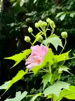 大乗寺(京都府)