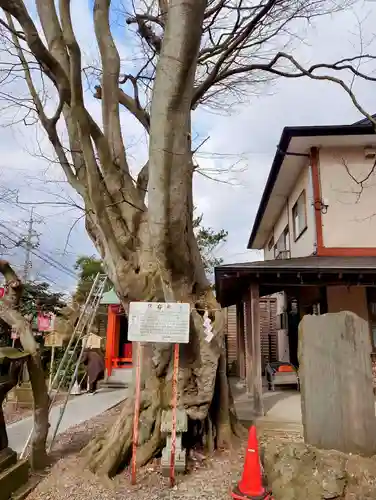 三皇熊野神社本宮(秋田県)