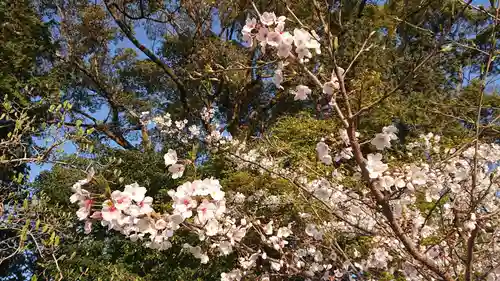 金神社（西町）の自然