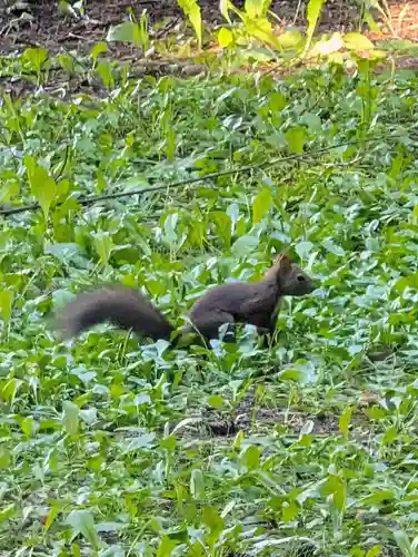 北海道神宮(北海道)
