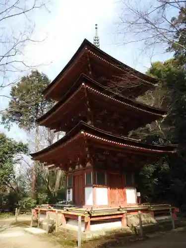 浄瑠璃寺の塔