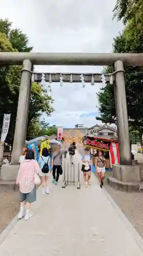 浅草神社の鳥居