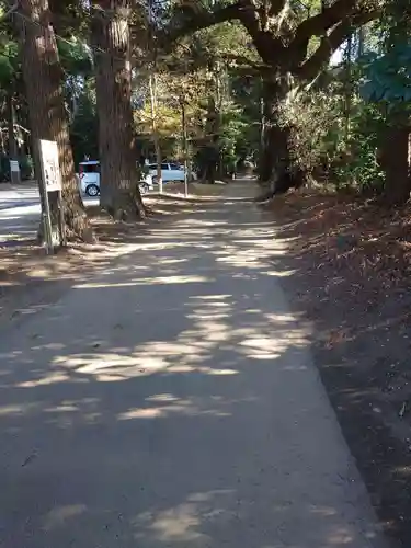 縣神社(千葉県)