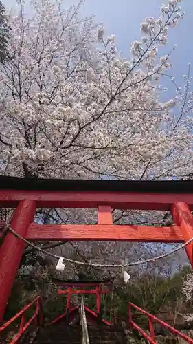 三崎稲荷神社の鳥居