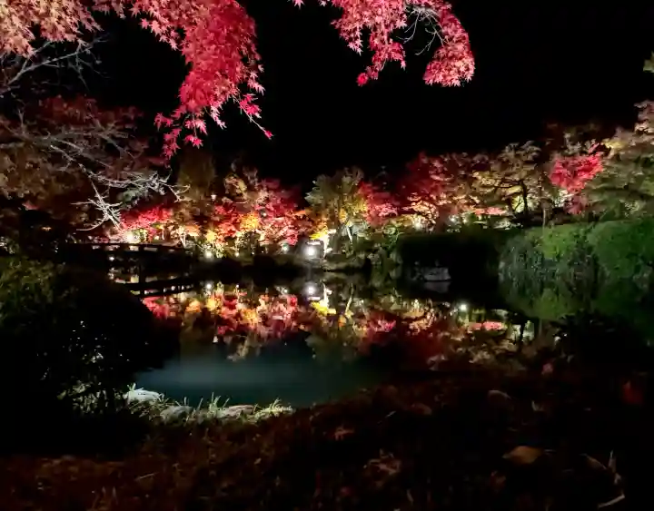 禅林寺(永観堂)の{uncategorized: "未分類", other: "その他", undefined: "問題あり", building: "その他建物", grave: "お墓", sacred_gate: "鳥居", guardian: "狛犬", statue: "像", buddha: "仏像", history: "歴史", nature: "自然", garden: "庭園", animal: "動物", pagoda: "塔", temizu: "手水舎", mountain_gate: "山門・神門", sanctuary: "本殿・本堂", subordinate: "末社・摂社", art: "芸術", scenery: "景色", jizo: "地蔵", ema: "絵馬", goshuin: "御朱印", omikuji: "おみくじ", items: "授与品その他", amulet: "お守り", goshuincho: "御朱印帳", eats: "食事", festival: "お祭り", votive_dance: "神楽", shichigosan: "七五三参", wedding: "結婚式", experience: "体験その他", initially: "初詣", around: "周辺", anti_infection: "感染症対策"}