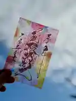 札幌諏訪神社の御朱印