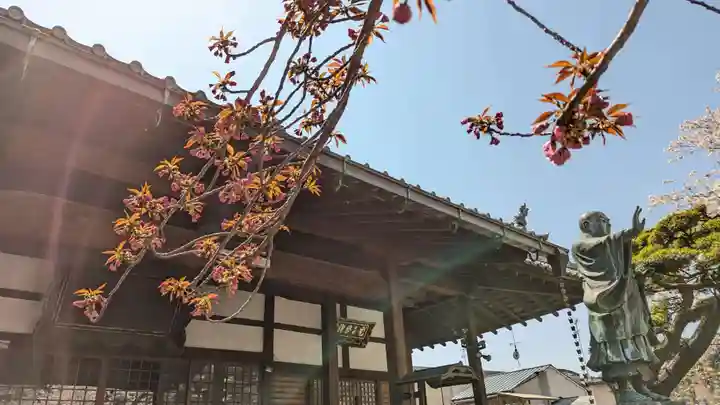 墨染寺(桜寺)(京都府)