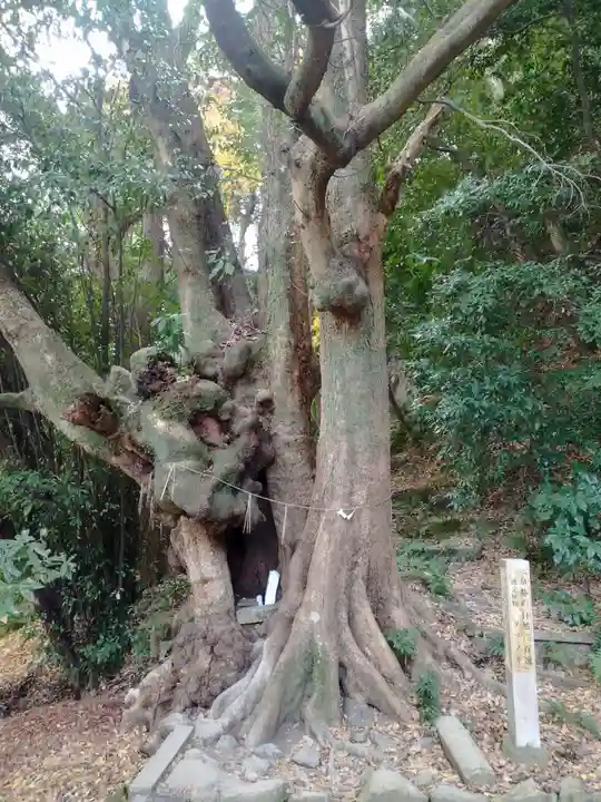 高良神社(京都府)