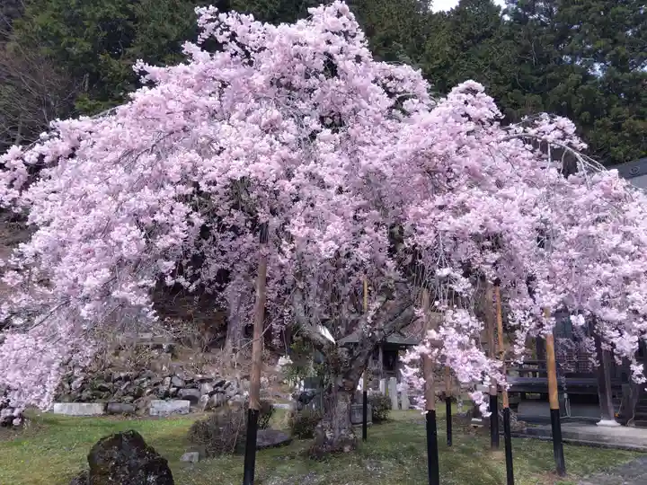 大聖院(京都府)