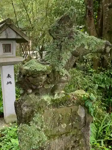 黒田原神社の狛犬