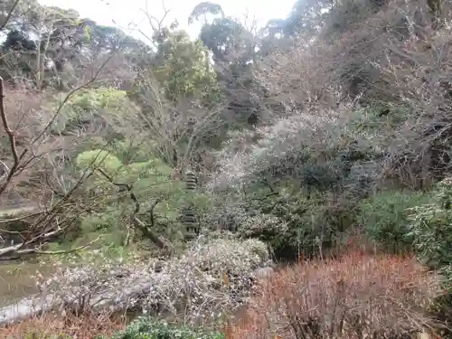 光則寺の庭園