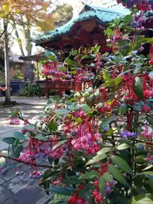 赤坂氷川神社(東京都)