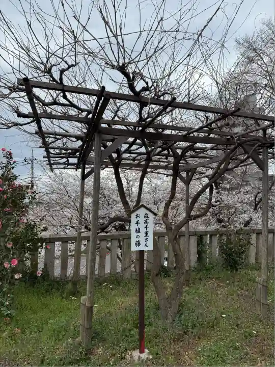 八雲神社(緑町)(栃木県)