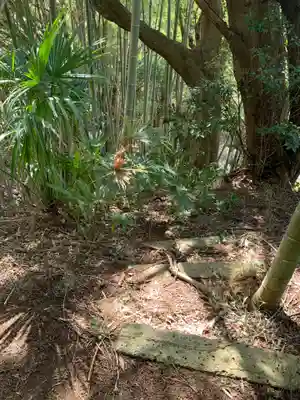 金比羅神社(千葉県)