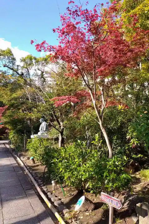 難波大社 生國魂神社(大阪府)