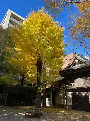 小野照崎神社(東京都)