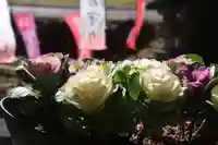 高司神社〜むすびの神の鎮まる社〜の庭園