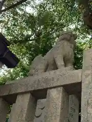 北野天満神社の狛犬