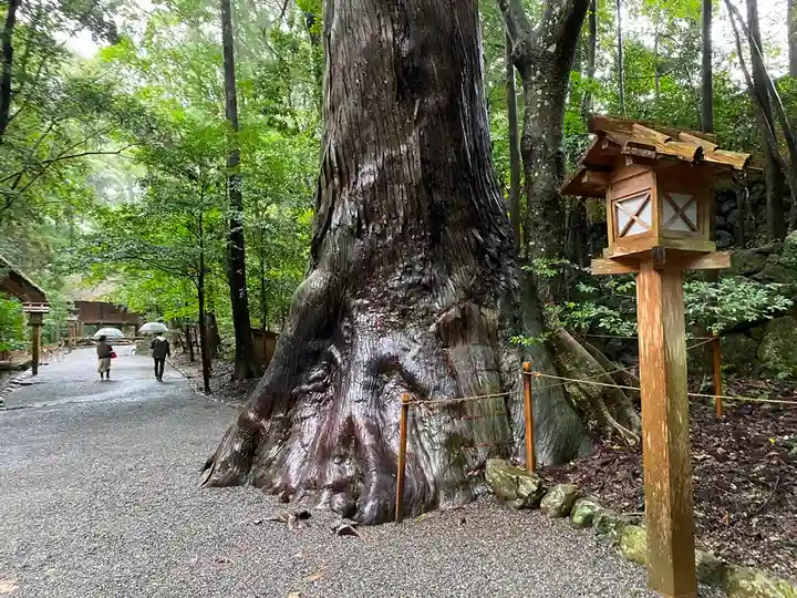 伊勢神宮内宮(皇大神宮)の自然