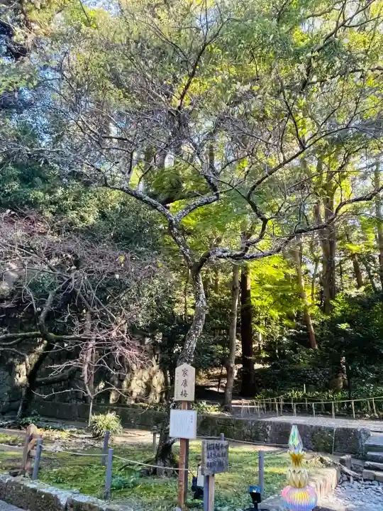 久能山東照宮(静岡県)