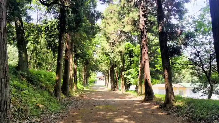 千代ケ岡八幡宮(栃木県)