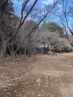 三蔵神社の自然