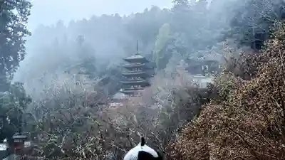 長谷寺(奈良県)