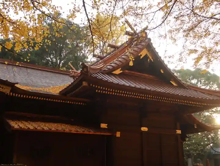 玉敷神社(埼玉県)