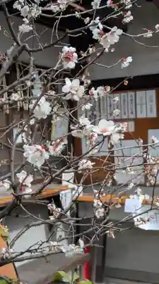水火天満宮(京都府)