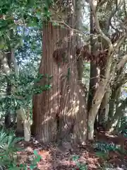 庭田神社の庭園