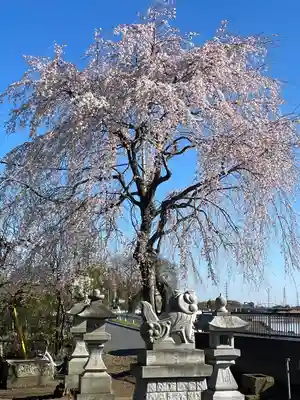 神明神社(埼玉県)