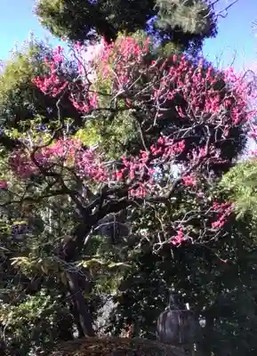 東長谷寺　薬王院(東京都)