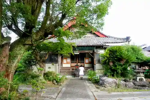 道智山 遍照院の本殿・本堂