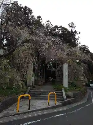 真福寺の山門・神門