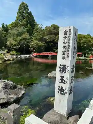 富士山本宮浅間大社(静岡県)