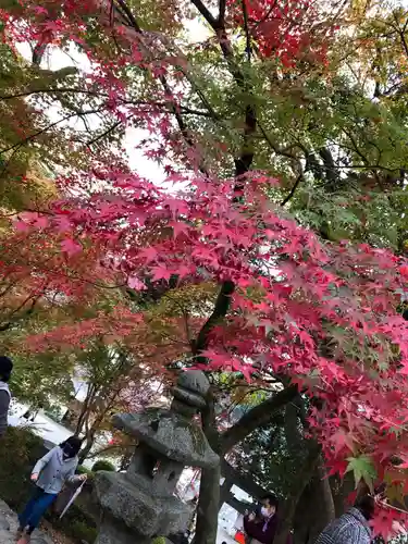 垂裕神社の自然