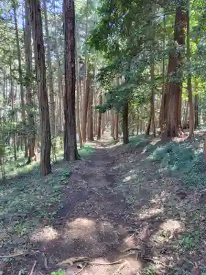 出雲伊波比神社(埼玉県)