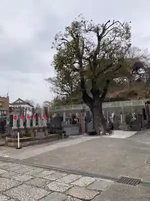 普門寺(神奈川県)