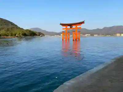 厳島神社の{uncategorized: "未分類", other: "その他", undefined: "問題あり", building: "その他建物", grave: "お墓", sacred_gate: "鳥居", guardian: "狛犬", statue: "像", buddha: "仏像", history: "歴史", nature: "自然", garden: "庭園", animal: "動物", pagoda: "塔", temizu: "手水舎", mountain_gate: "山門・神門", sanctuary: "本殿・本堂", subordinate: "末社・摂社", art: "芸術", scenery: "景色", jizo: "地蔵", ema: "絵馬", goshuin: "御朱印", omikuji: "おみくじ", items: "授与品その他", amulet: "お守り", goshuincho: "御朱印帳", eats: "食事", festival: "お祭り", votive_dance: "神楽", shichigosan: "七五三参", wedding: "結婚式", experience: "体験その他", initially: "初詣", around: "周辺", anti_infection: "感染症対策"}
